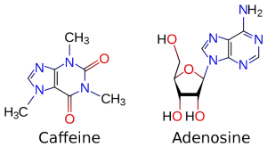 0-MghuYrG-5A9969pM