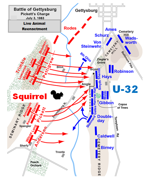 Escaped Confederate Squirrel Still At Large