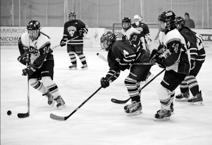 What to Expect from the Girls Hockey Playoffs