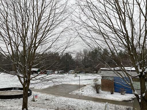 Early snowfall at campus on Thursday, November 9.
Anna Stoner/The Chronicle