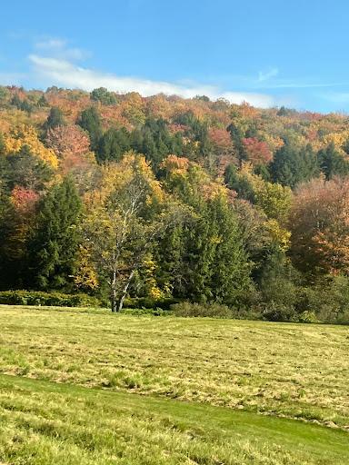 Vermont's Changing Colors